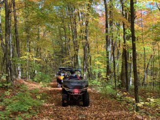 ATV riding away down a forest path