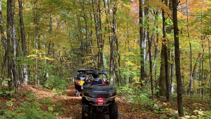 ATV riding away down a forest path